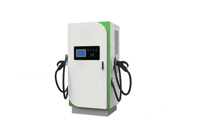 DC EV Charger Dual Gun